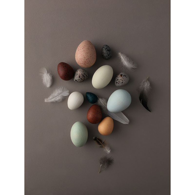 Box - A Dozen Bird Eggs von Moon Picnic