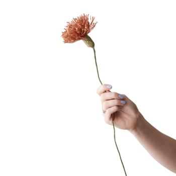 Papierblume - Chrysanthemum dark ochre von Studio About