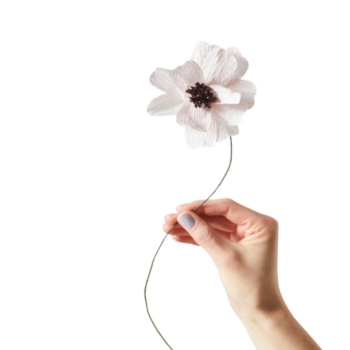 Papierblume - Daisy purple von Studio About