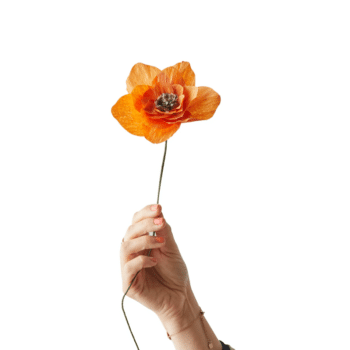 Papierblume - Poppy orange von Studio About